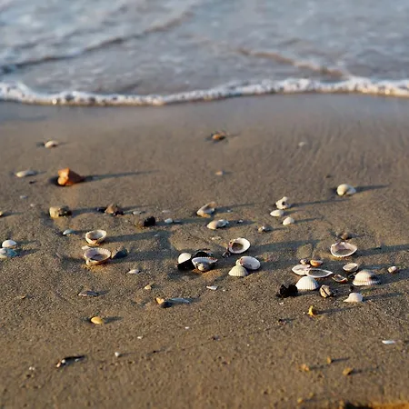 Seafront In Apartment Bibione