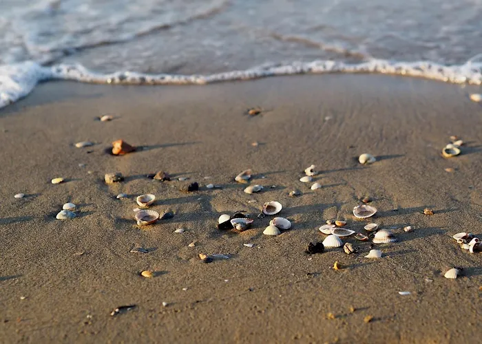 Seafront In Διαμέρισμα Μπιμπιόνε